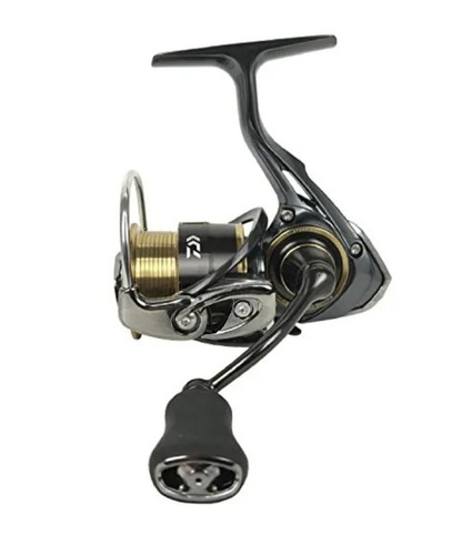 Daiwa theory 2004 - daiwa,