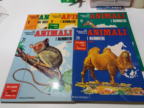 Regno degli animali blocco - regno,