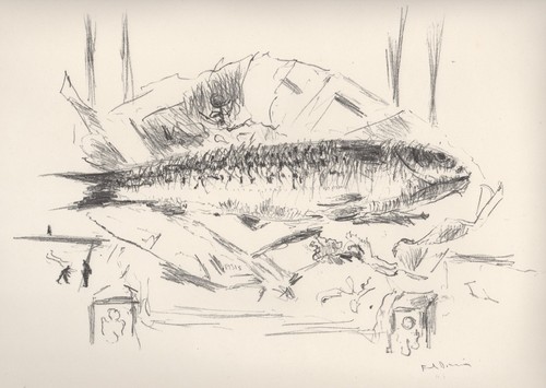 Filippo pisis pesce - -il,