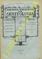 R.I.O. - (Moltoni, Brambolini
