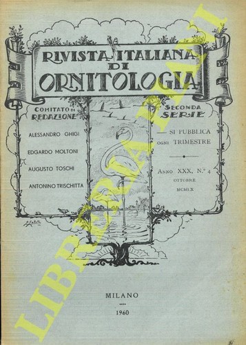 Moltoni brambolini - r.i.o., (moltoni,