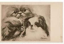 8489 CANE DOG PECHINESE