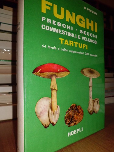Funghi freschi secchi - funghi,
