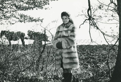 Anouk aimee soir un - aimee, train