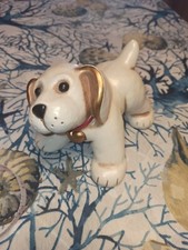 Thun cane cagnolino todo