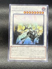 Enlightenment Paladin