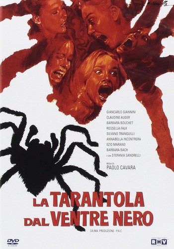 Tarantola dal ventre nero - la,