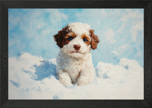 Lagotto romagnolo cucciolo - romagnolo,