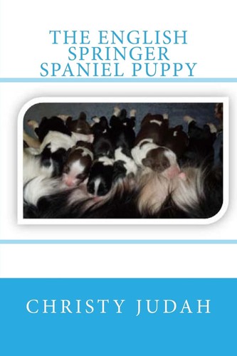 The english springer spaniel - english,