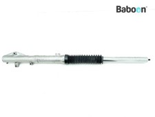 Gamba forcella anteriore