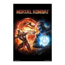 Poster mortal kombat - mortal, 9
