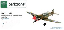 Nuovo Ultra-Micro P-40 Warhawk