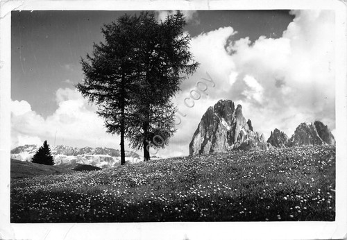 Cartolina dolomiti gruppo - cartolina,