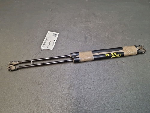 Set pistoni portellone - set,