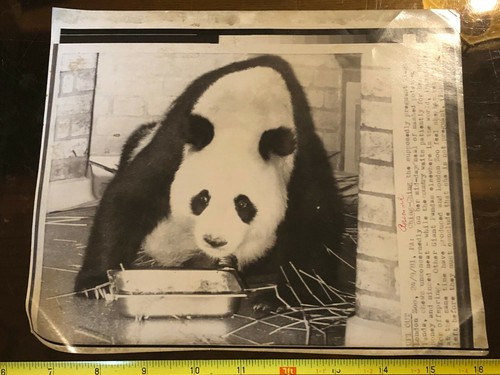 Tabloid carta stampa - , originale