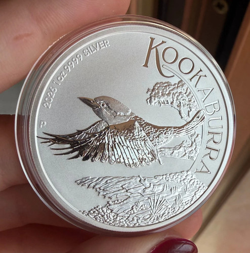 Oncia 2026 kookaburra - oncia,