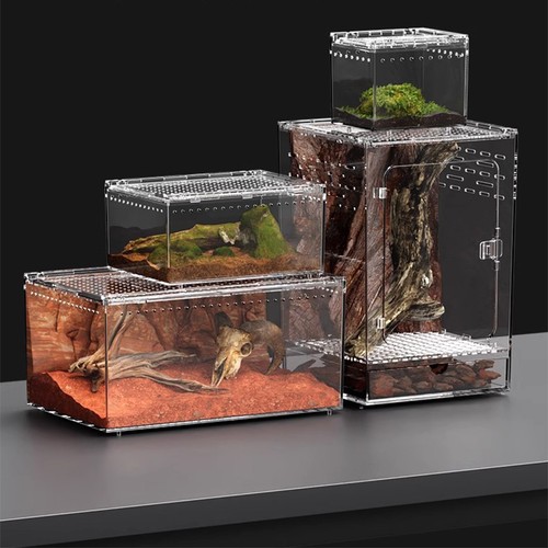 Rettile habitat terrario - habitat,