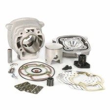 MALOSSI M318455 CILINDRO