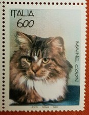 I gatti Maine Coon - 1993