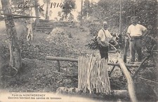 Old postcard 95 FORET DE