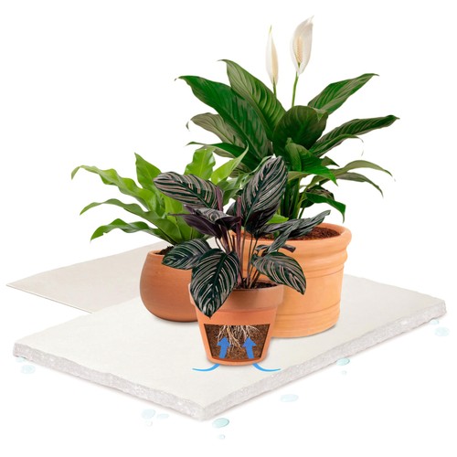 Bio green tappeto di - 2,