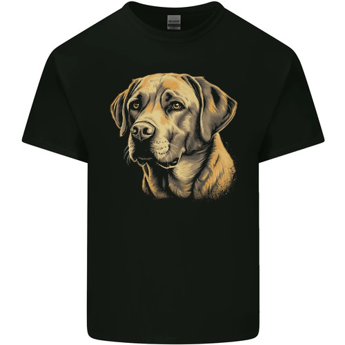 Simpatico cane labrador - cane,