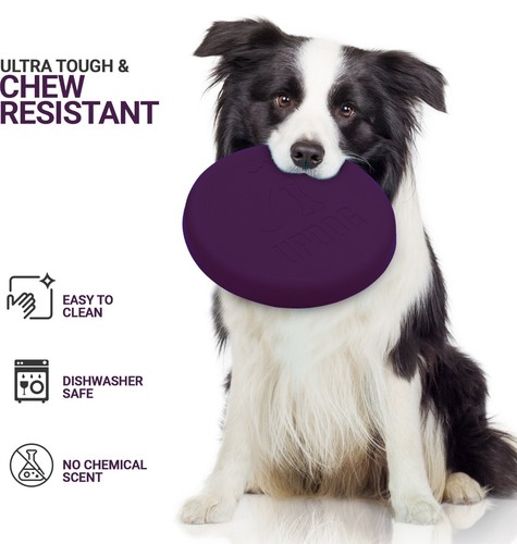 Updog frisbee per cani - updog,