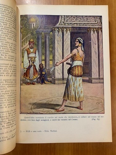 Mille una notte novelle arabe - novelle,