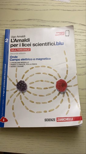 Amaldi per licei - l'amaldi, i