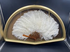 Quadro prezioso ventaglio Ventaglierà piume di Struzzo