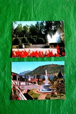 2 CARTOLINE  VARESE e CAMPIONE