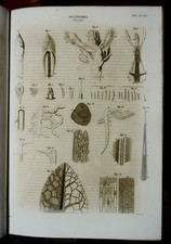 1849 Stampa Antica