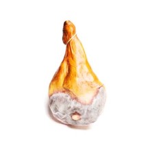 Prosciutto crudo finto - crudo,