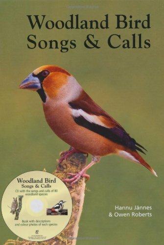 Woodland bird songs calls - bird,