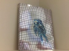 ZERO GRAVITY: Apollo 11 and