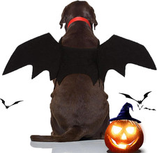 Libnrty Costume Halloween