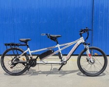 Elettrico 500w 48v due posti - due,