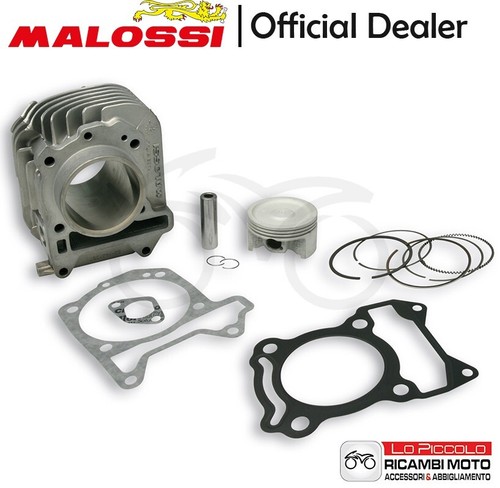 3115695 gruppo termico malossi - 3115695,