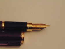 penna stilografica waterman