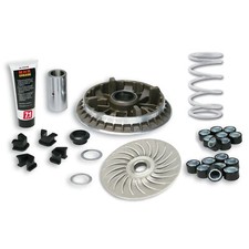 MF2456 VARIATORE MALOSSI +