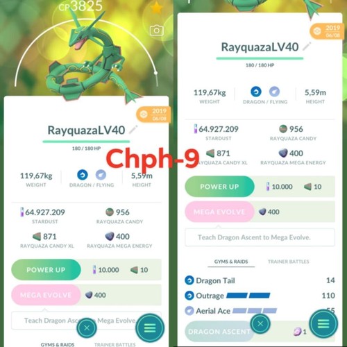 Pokemon rayquaza lv40 - rayquaza, 3