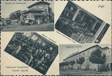 cp211 cartolina lugo cooperativa esportazione prodotti agricoli ravenna