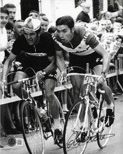 Foto firmata Eddy Merckx 8x10