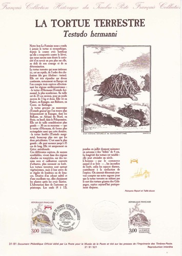Document philatélique 1er - document,