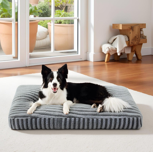 Cuccia cane interno cuscino - cuccia,
