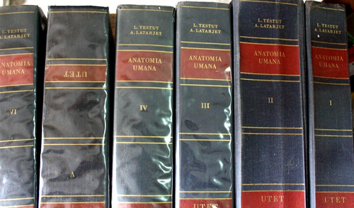 Anatomia umana testut e - anatomia,