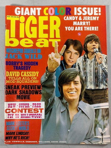 August 1970 tiger beat - august,