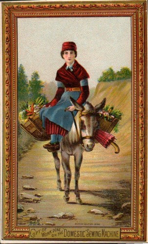Donna cavalca asino - donna, su