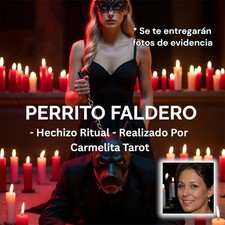 Perrito Faldero Leal Obediente