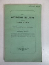 1864 COLTIVAZIONE COTONE